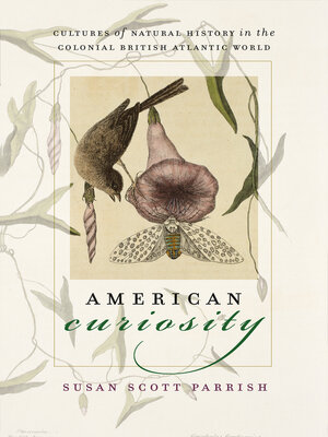cover image of American Curiosity